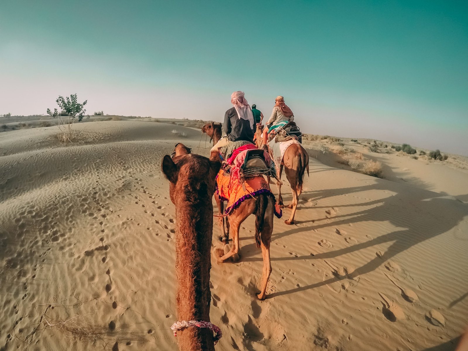 Room Factory Hotels Thar View Hotel Jaisalmer Jaisalmer Packages Jaisalmer Tour